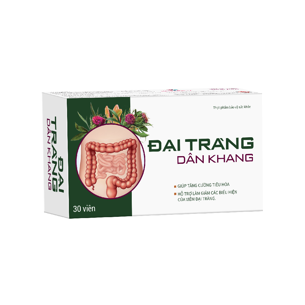 Đại Tràng Dân Khang
