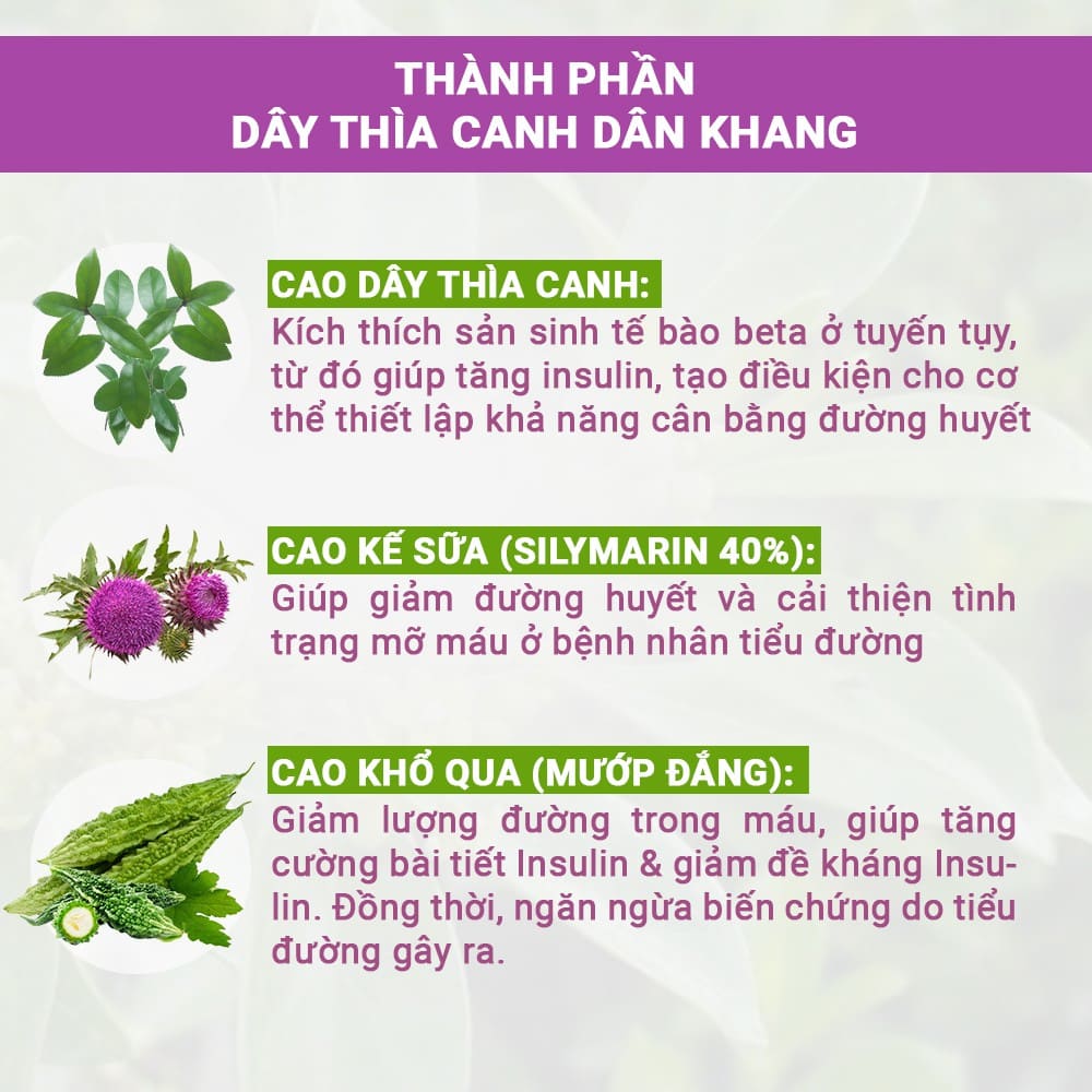 Dây thìa canh Dân Khang
