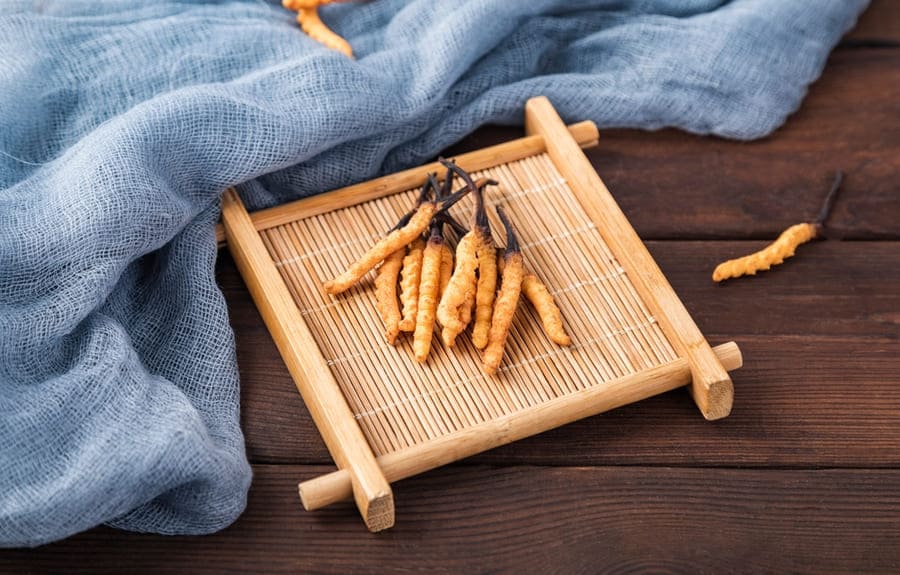 Bạn biết gì về đông trùng hạ thảo